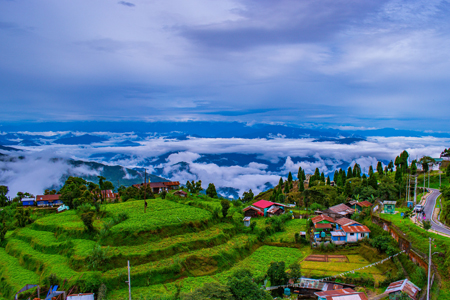 Cheapest Darjeeling Tour